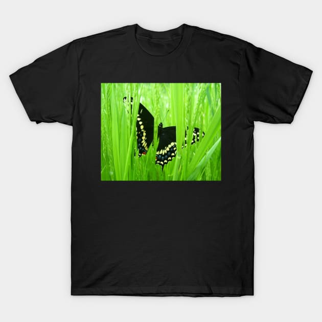 Black Swallowtail Butterfly T-Shirt by ARTWORKandBEYOND